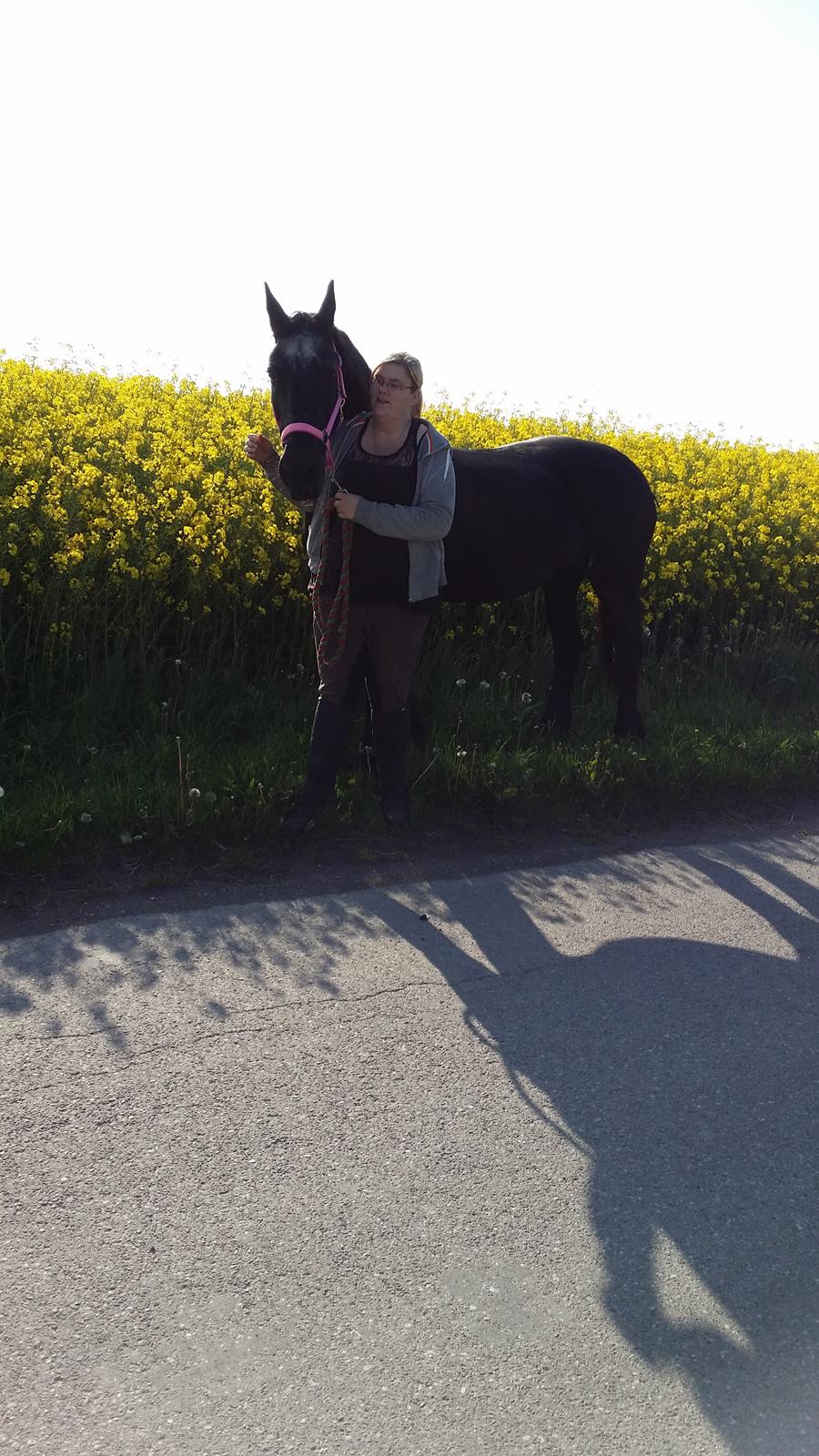 Frieser Thea billede 15