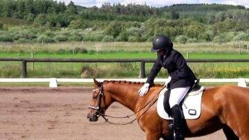 Anden særlig race Storbjergs Lollipop  billede 5