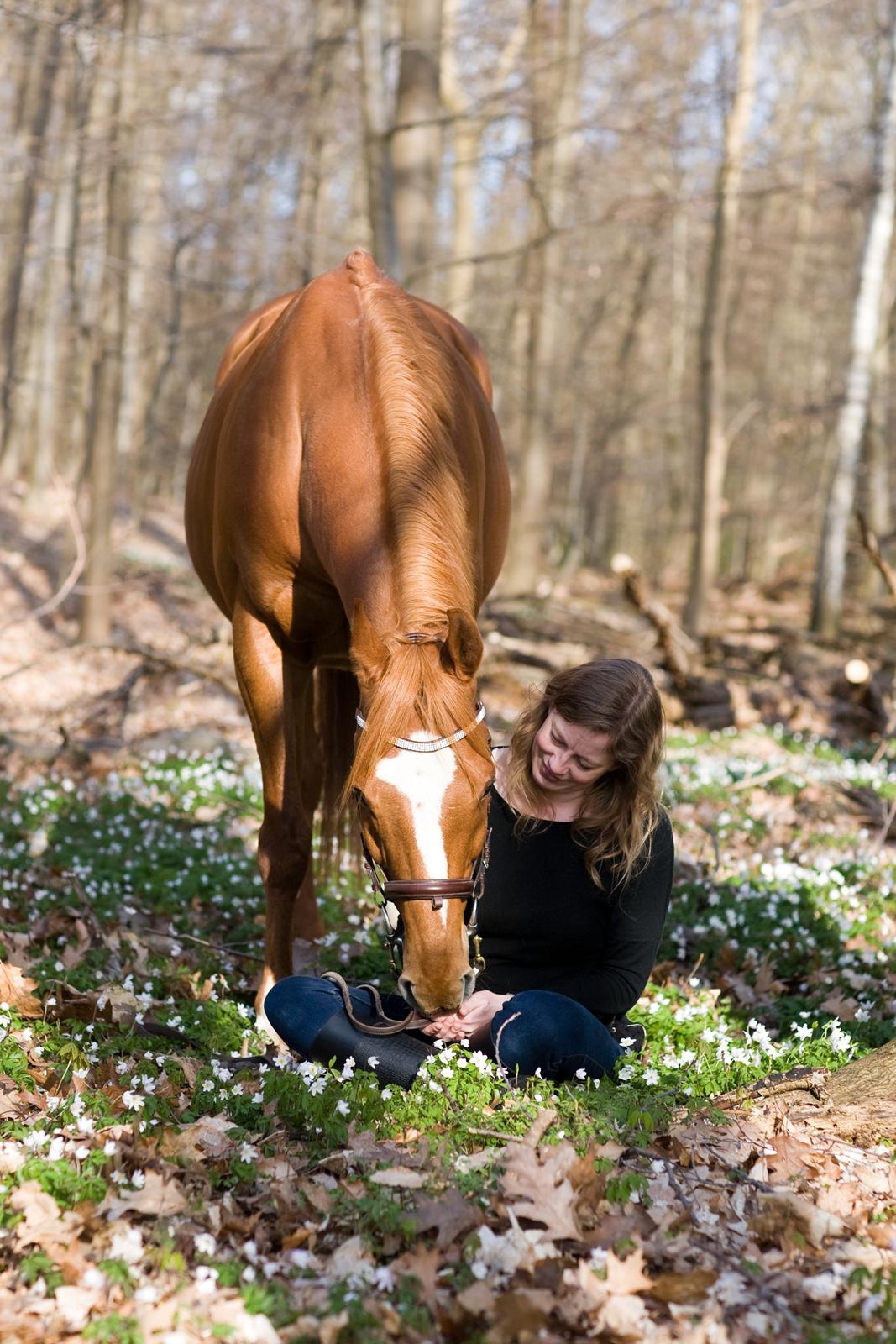 Fuldblod (XX) Maphard *Møffe* - Foto: Kaj Frøling billede 9