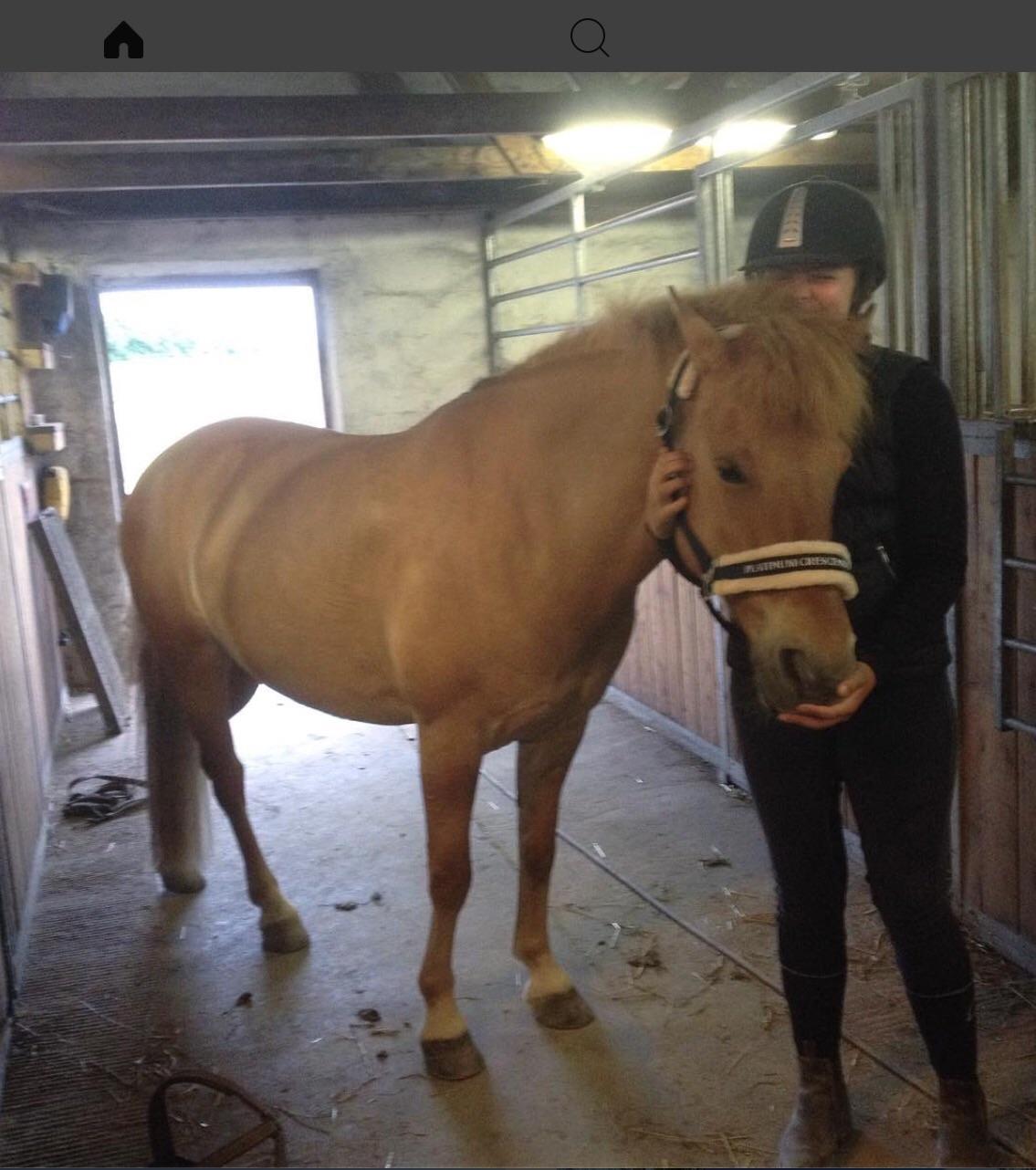 Anden særlig race Laban<3 billede 2