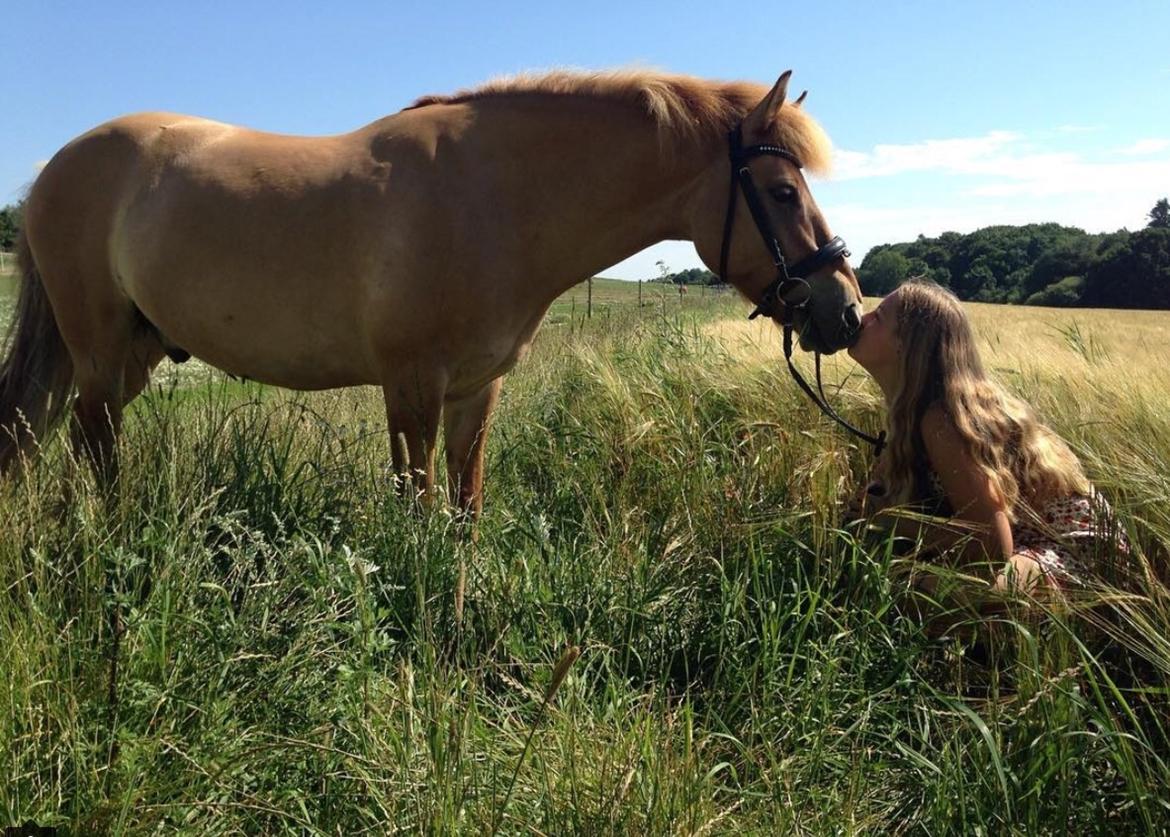 Anden særlig race Laban<3 billede 5
