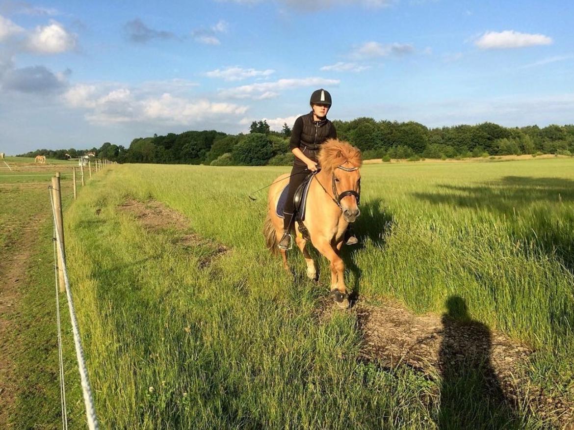 Anden særlig race Laban<3 billede 9