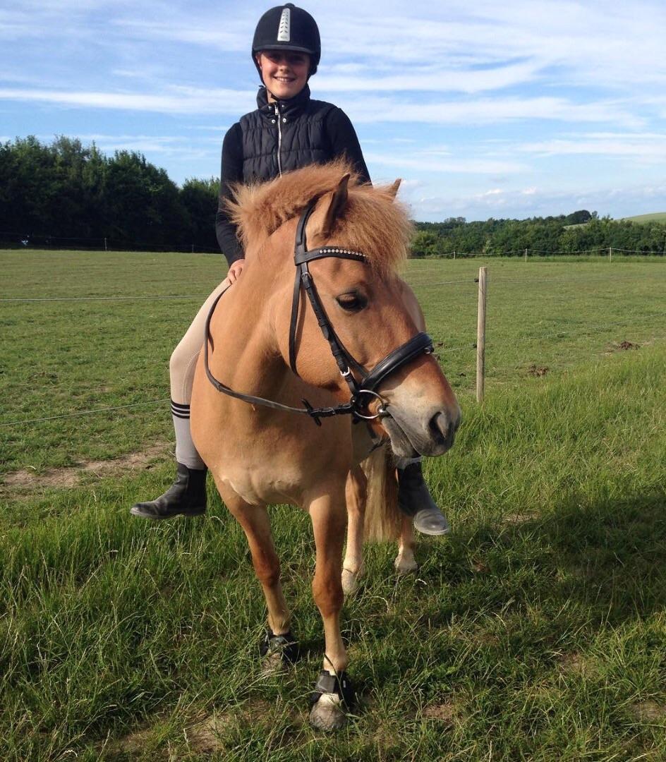 Anden særlig race Laban<3 billede 14