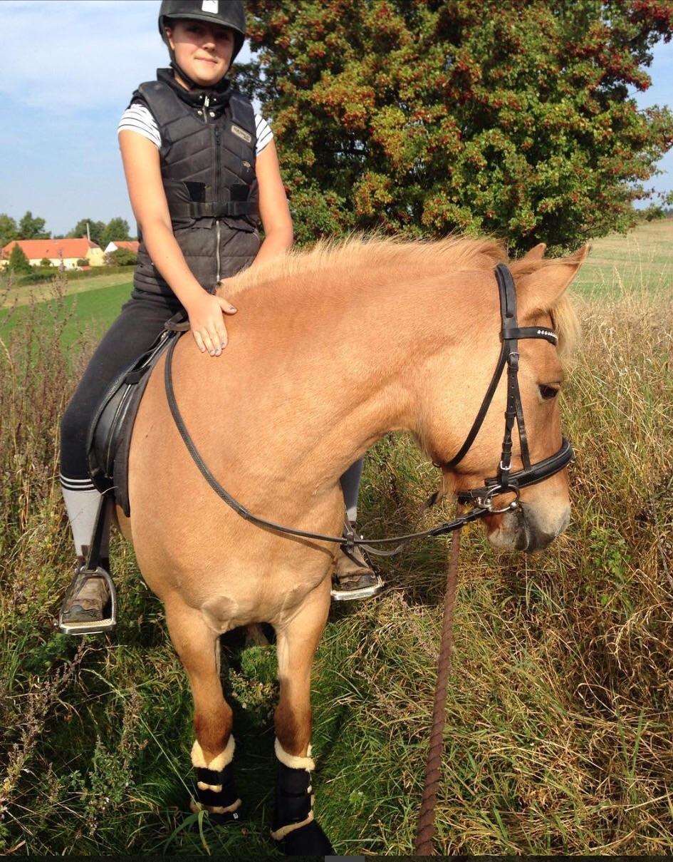 Anden særlig race Laban<3 billede 11