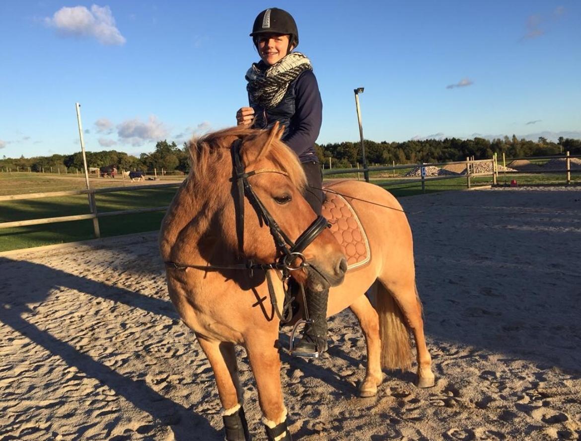 Anden særlig race Laban<3 billede 18