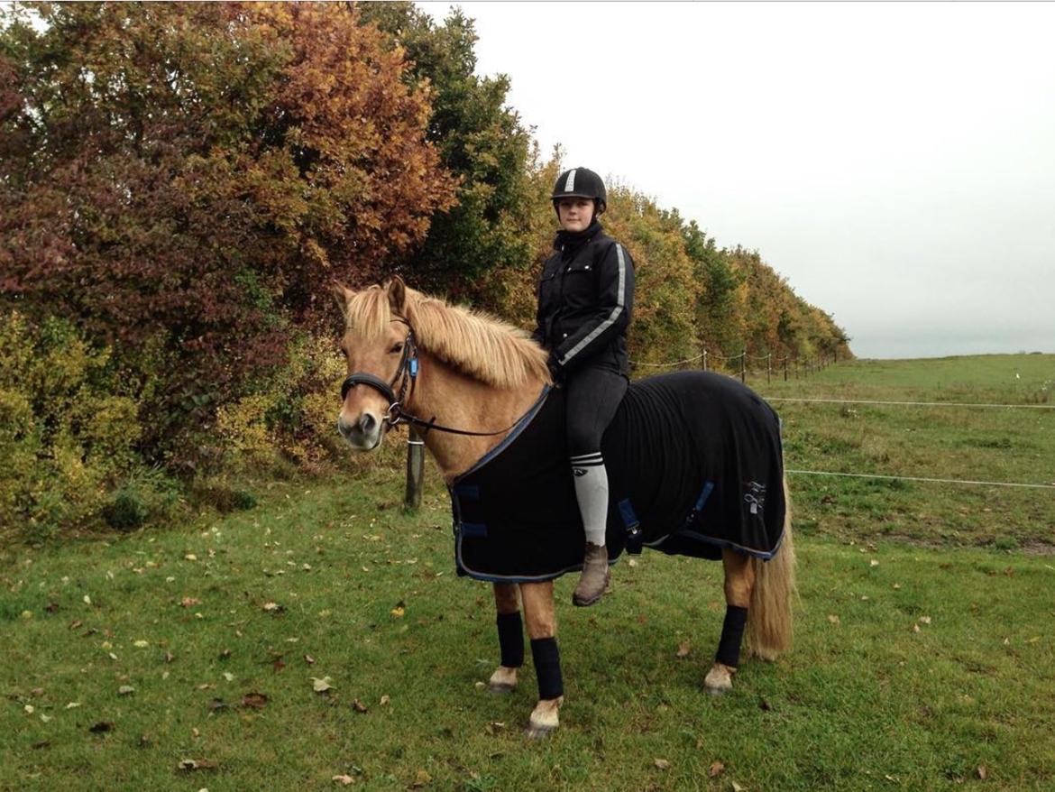 Anden særlig race Laban<3 billede 7