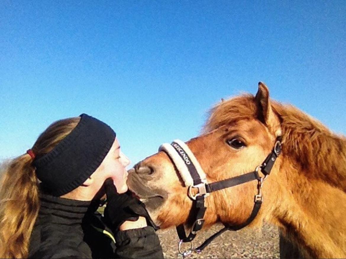 Anden særlig race Laban<3 billede 20