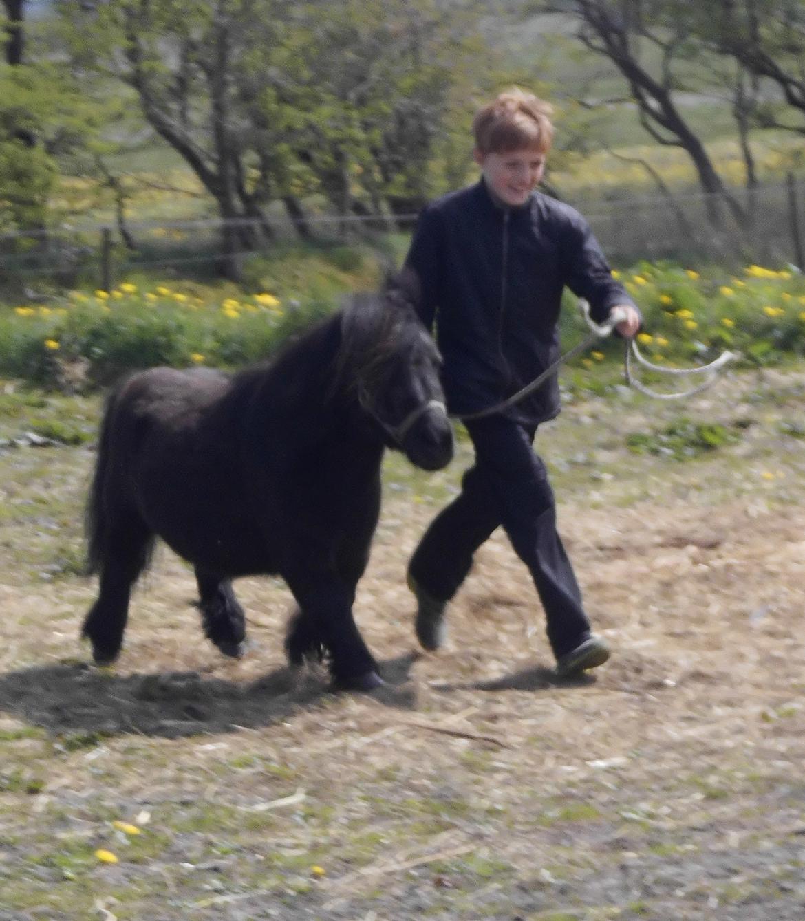 Anden særlig race Buster (Jarl) Sorte ganger - træning til børnedyrkue Maj 2017 billede 2