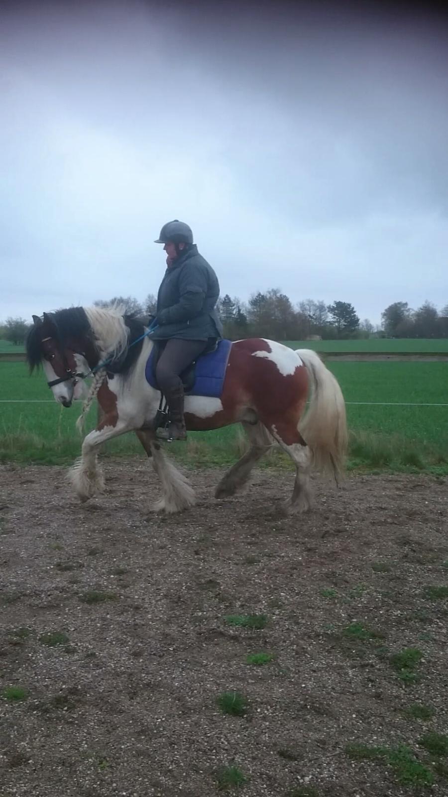 Tinker Butler fra bringstrup billede 9