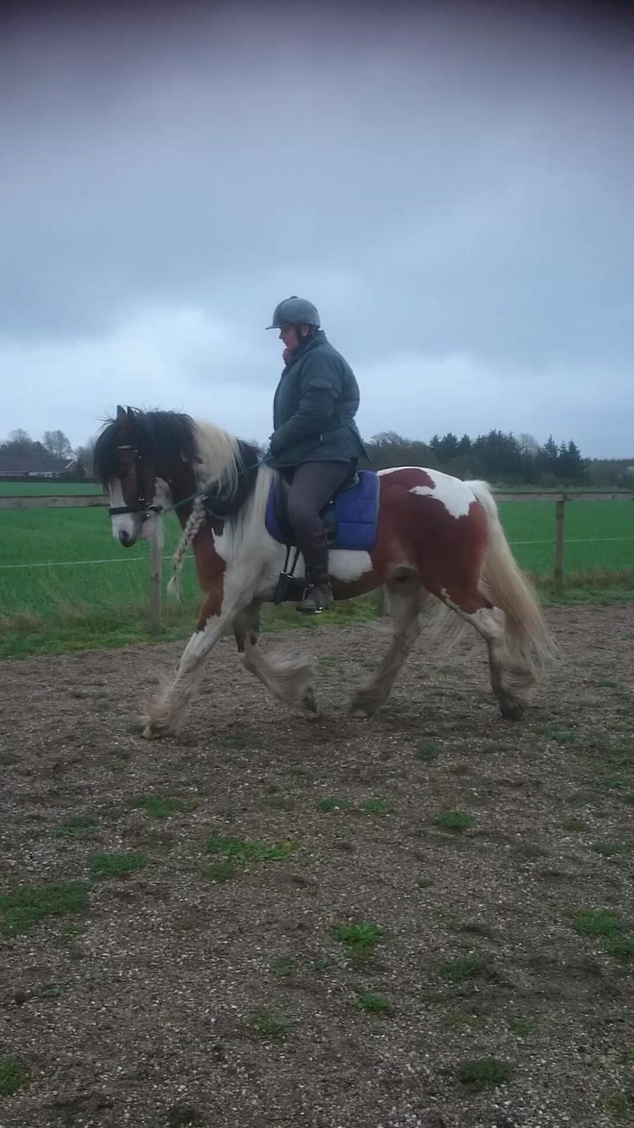 Tinker Butler fra bringstrup billede 4