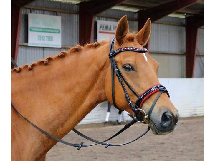 {{currentPhoto.altText}} billede {{currentPhoto.number}}