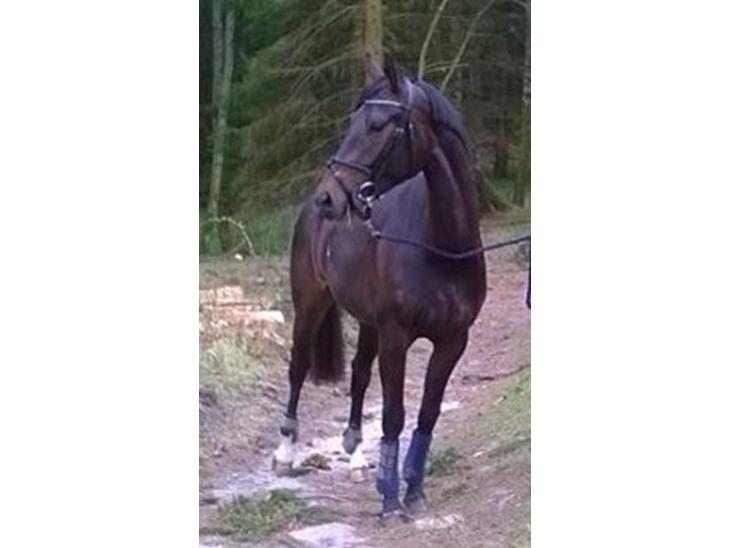 {{currentPhoto.altText}} billede {{currentPhoto.number}}