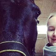 Anden særlig race Santos