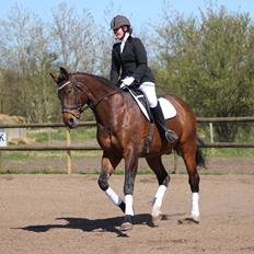 Oldenborg Amadæus Søndergård R.I.P (tidligere lånehest)