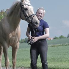 Palomino Golden Fashion *Elsket og Savnet" 