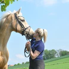 Palomino Golden Fashion *Elsket og Savnet" 