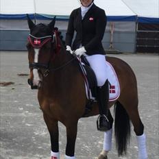 Hollandsk Sportspony Xantal-Jr. A / FEI-pony 