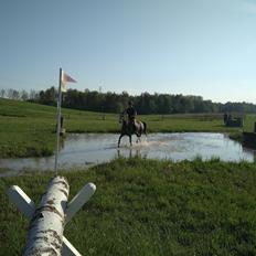 DSP Tystrupgårds Bathiba