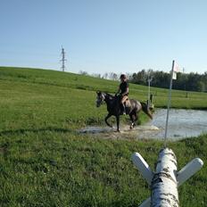 DSP Tystrupgårds Bathiba