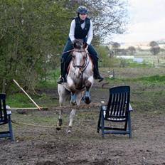 Anden særlig race Sofus