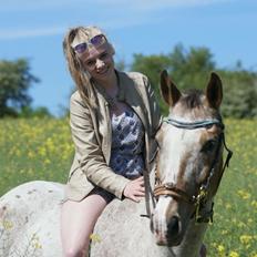 Anden særlig race Sofus