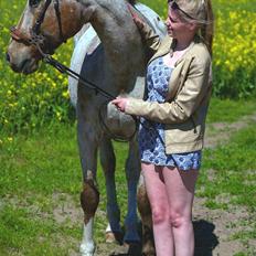 Anden særlig race Sofus