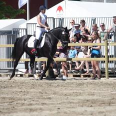 Oldenborg Naja af støvlebæk
