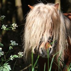 Dansk Miniature Mr. Swing King