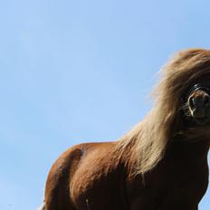 Dansk Miniature Mr. Swing King