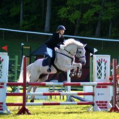 Anden særlig race Fernando