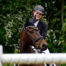 Dansk Varmblod Wanessa