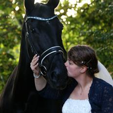 Dansk Varmblod Fruerlundens Rosita