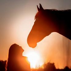 Anden særlig race Flicka <3 | Himmelhest 