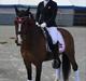 Hollandsk Sportspony Xantal-Jr. A / FEI-pony 