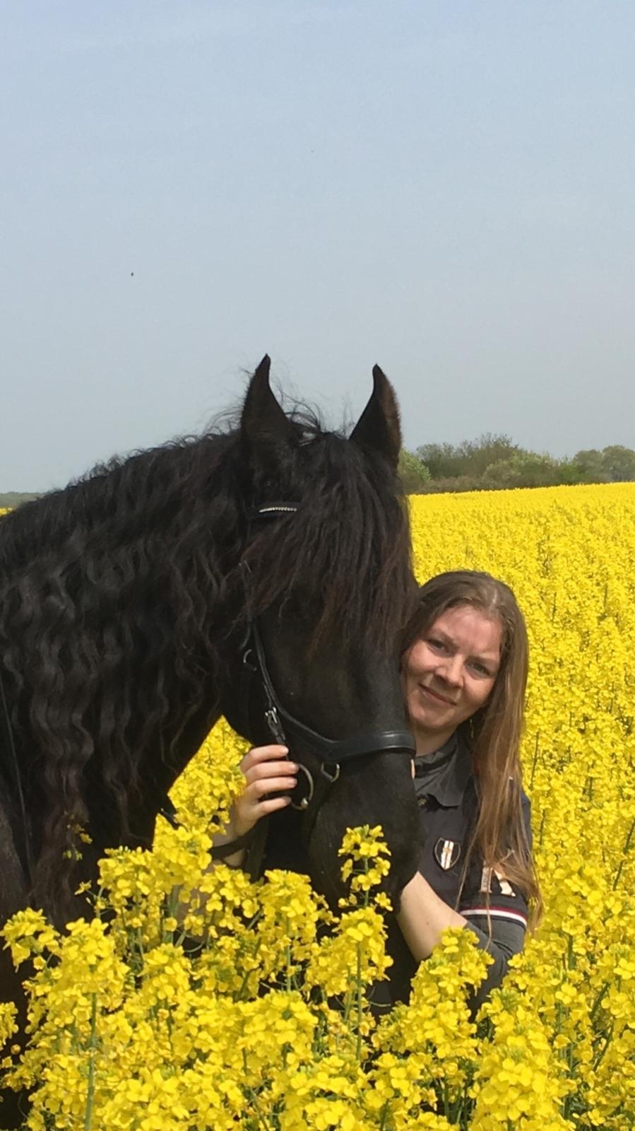 Frieser Barik billede 44