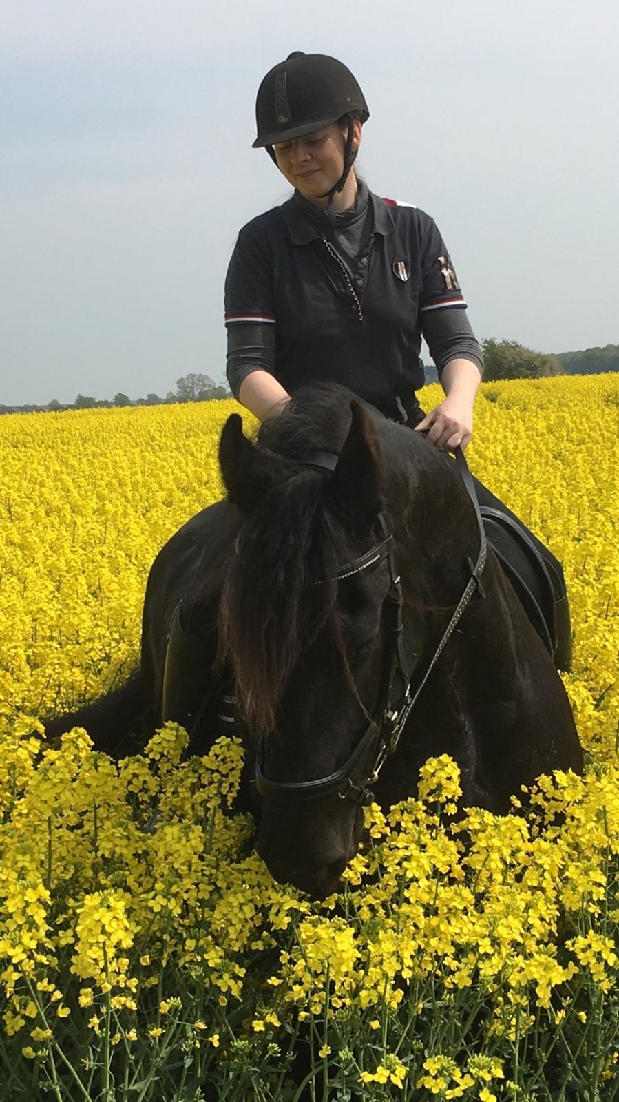 Frieser Barik billede 49