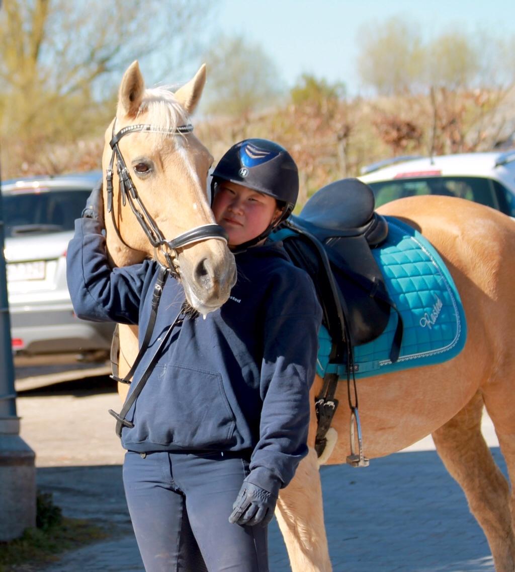 New Forest Nellie (Rain) billede 8