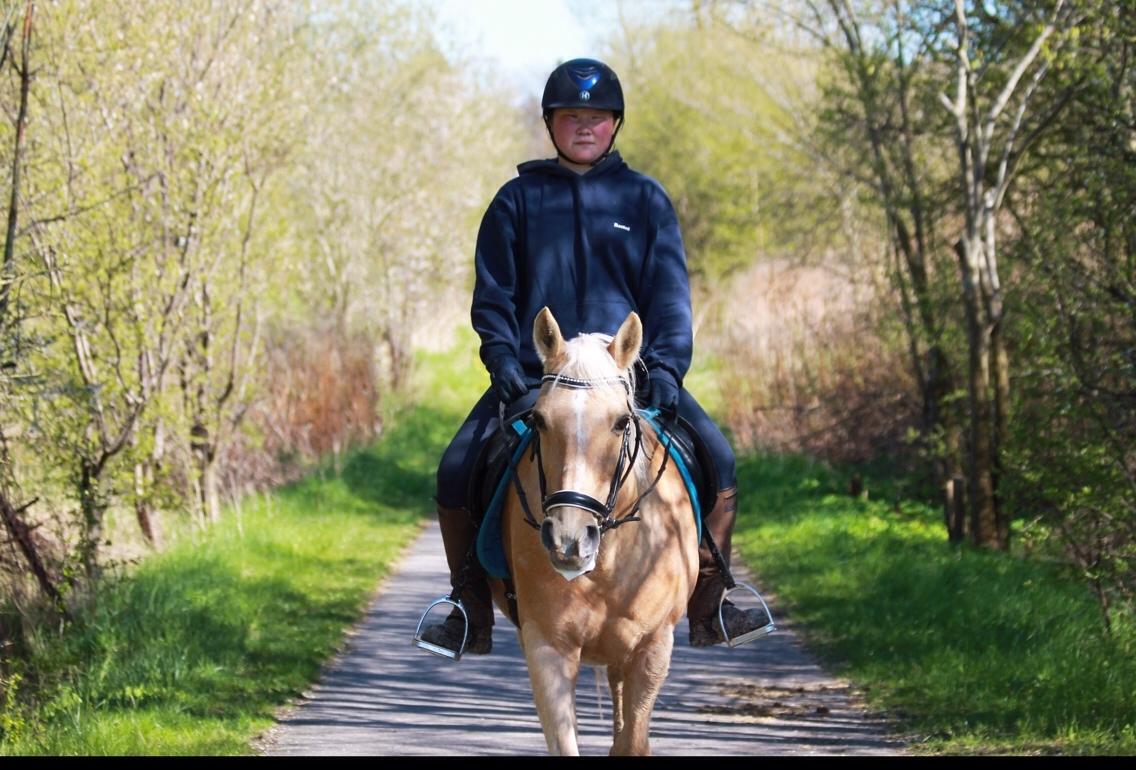 New Forest Nellie (Rain) billede 7