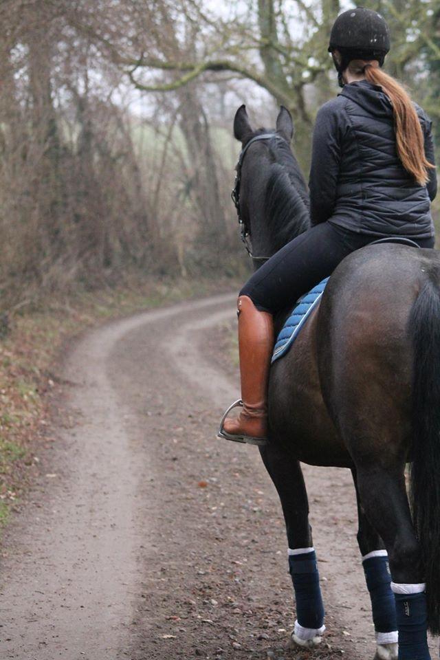 Anden særlig race Newclear p. (Himmelhest) billede 20