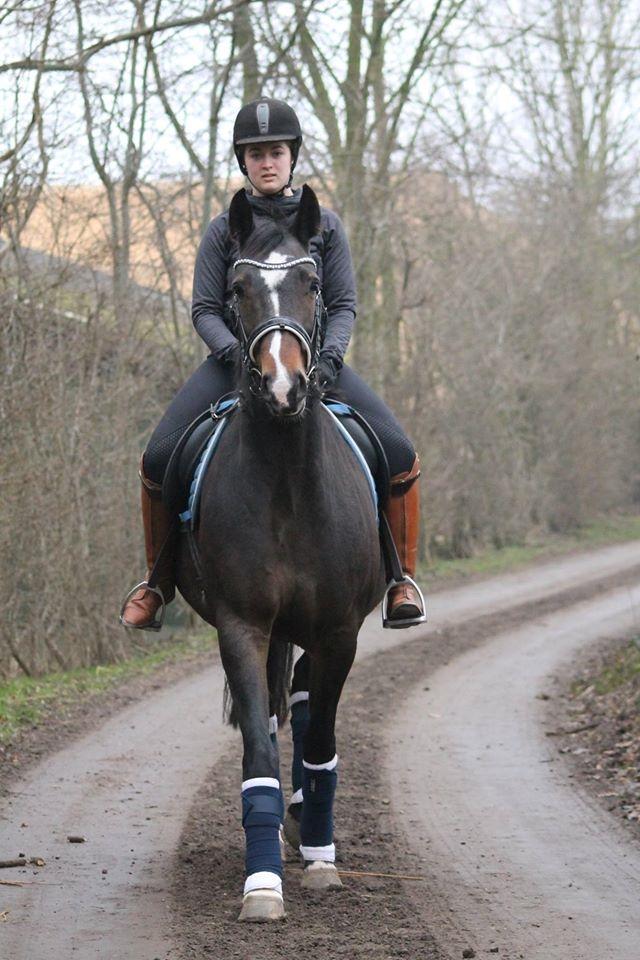 Anden særlig race Newclear p. (Himmelhest) billede 18