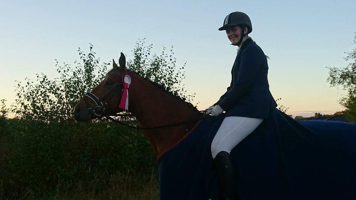 Dansk Varmblod Al Capone [Solgt] billede 12