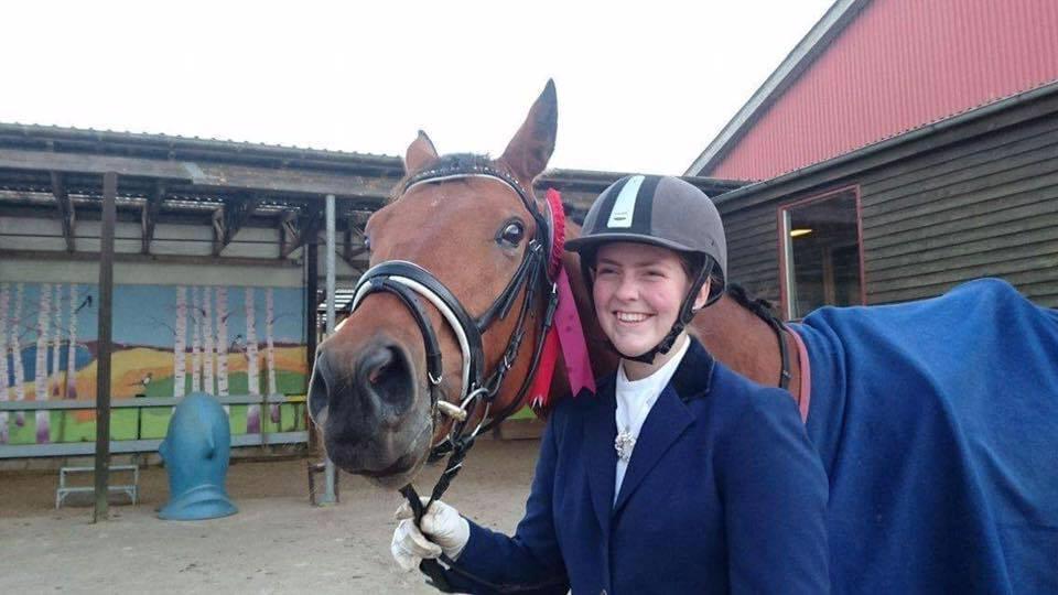 Dansk Varmblod Al Capone [Solgt] billede 13