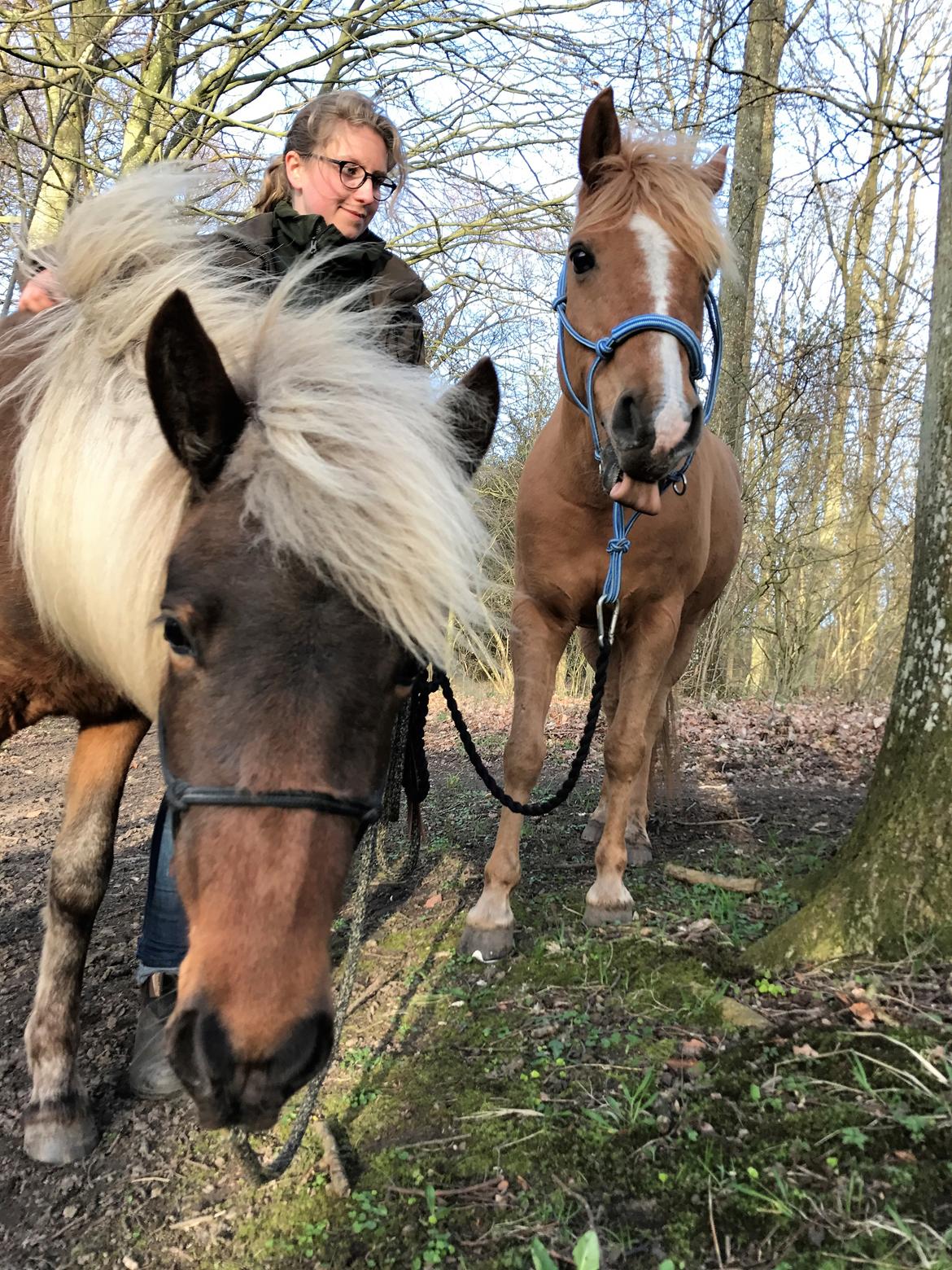Anden særlig race Speedy billede 10