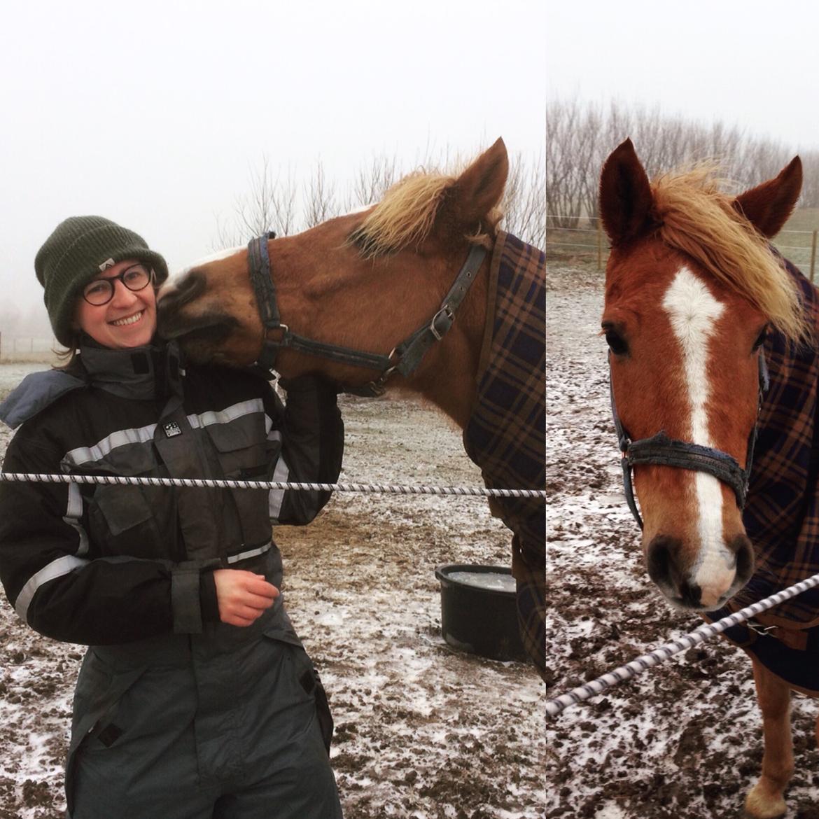 Anden særlig race Speedy - Den dag Speedy kom tilbage til mig. Januar 2017 billede 16