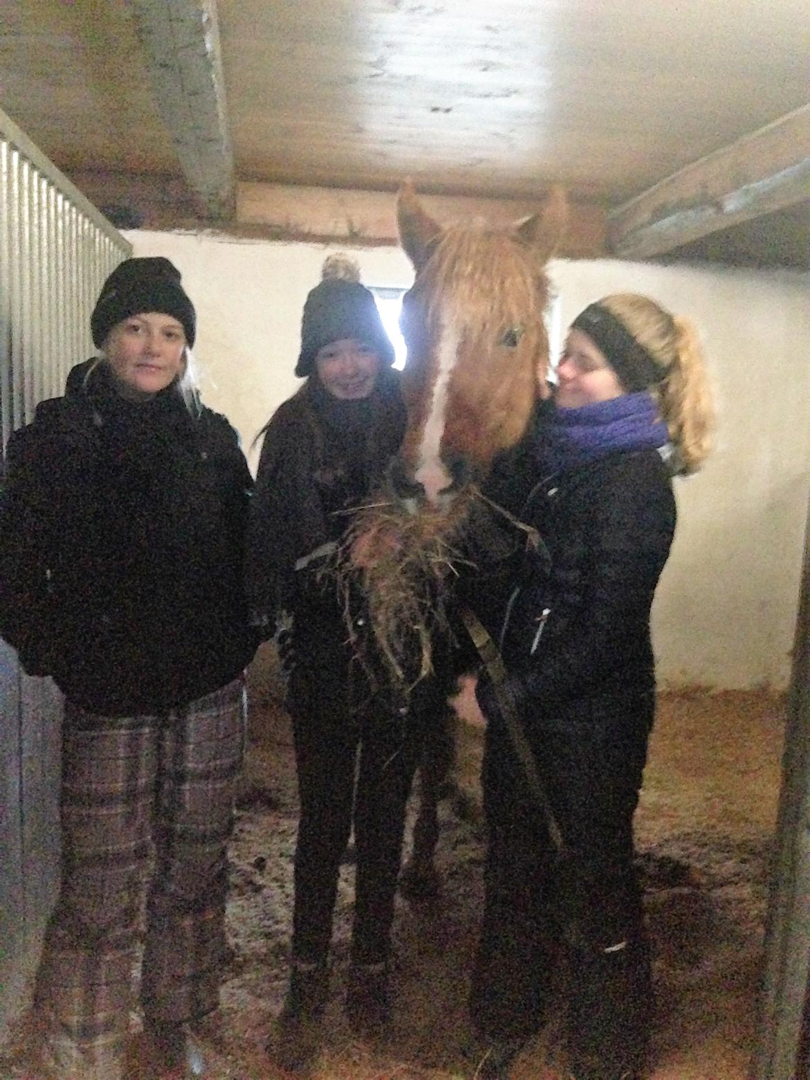 Anden særlig race Speedy - Speedy omringet af kærlighed fra sine piger, tidligere ejer og parter billede 17