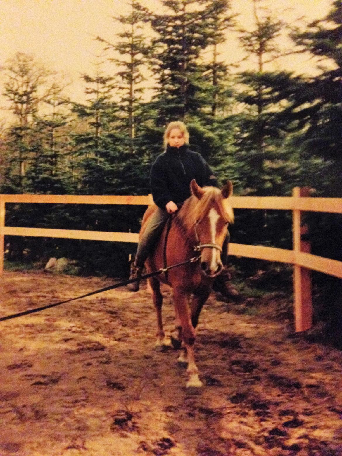 Anden særlig race Speedy - Speedy og jeg i 2001 billede 19