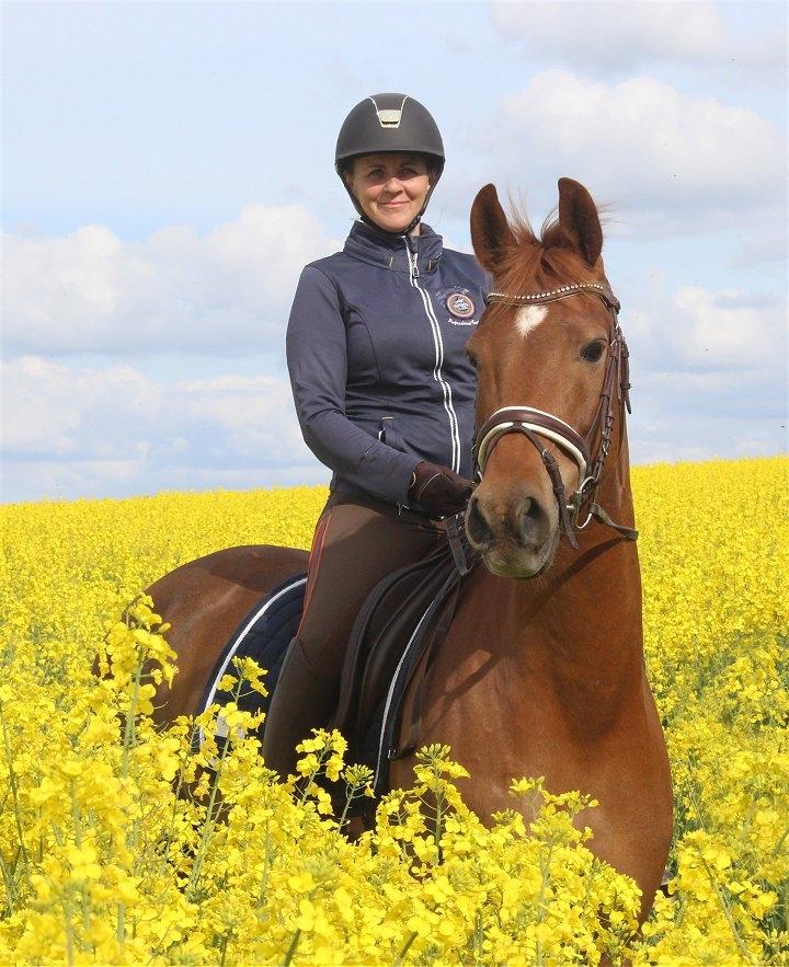 Anden særlig race Sweet Marquis (Tak for 2 fantastiske år) billede 2