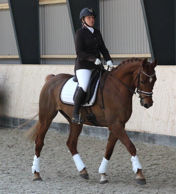 Anden særlig race Sweet Marquis (Tak for 2 fantastiske år) billede 3