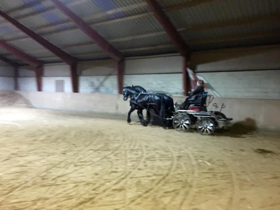 Frieser Nammen Fan'e Vesta Hoeve *SPORT* billede 17