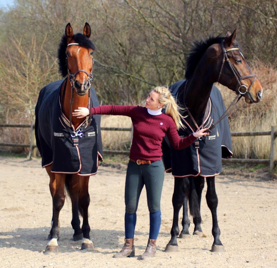 Dansk Varmblod Christiano mak billede 3